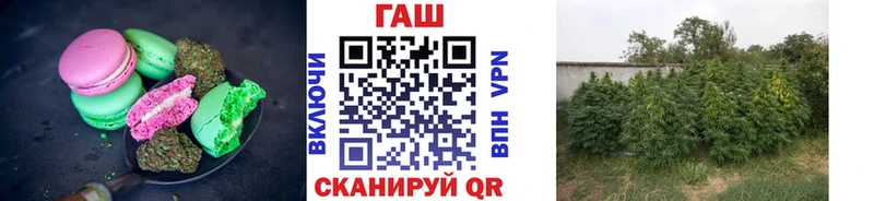 Cannafood конопля  Новокузнецк 