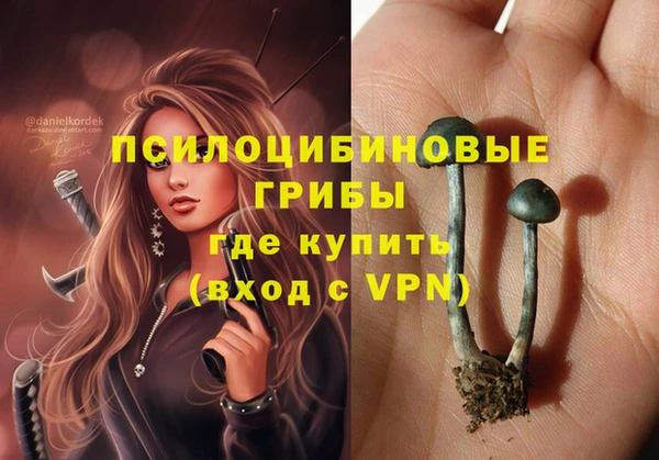 гидропоника Лабытнанги