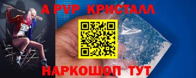 гашик Будённовск