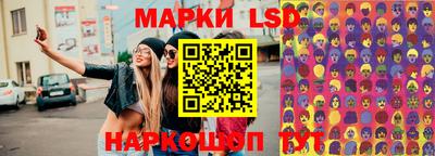 гашик Будённовск