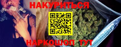 гашик Будённовск