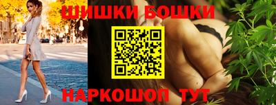 гашик Будённовск