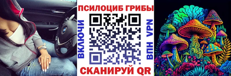 Псилоцибиновые грибы прущие грибы  где продают наркотики  OMG рабочий сайт  Новокузнецк 