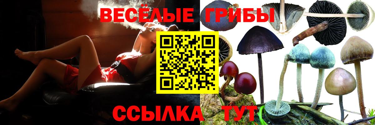 Псилоцибиновые грибы прущие грибы  Галлюциногенные грибы ЛСД  Новокузнецк  Вход с VPN 